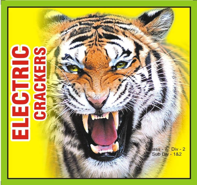 ECO 56 GIANT CRACKERS (1 STRING)